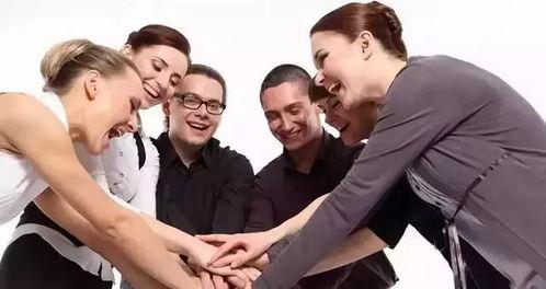 六叔团队爆料视频,揭秘视频背后的惊人真相